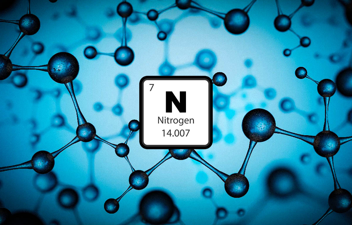 NItrogen closed cell wetsuit